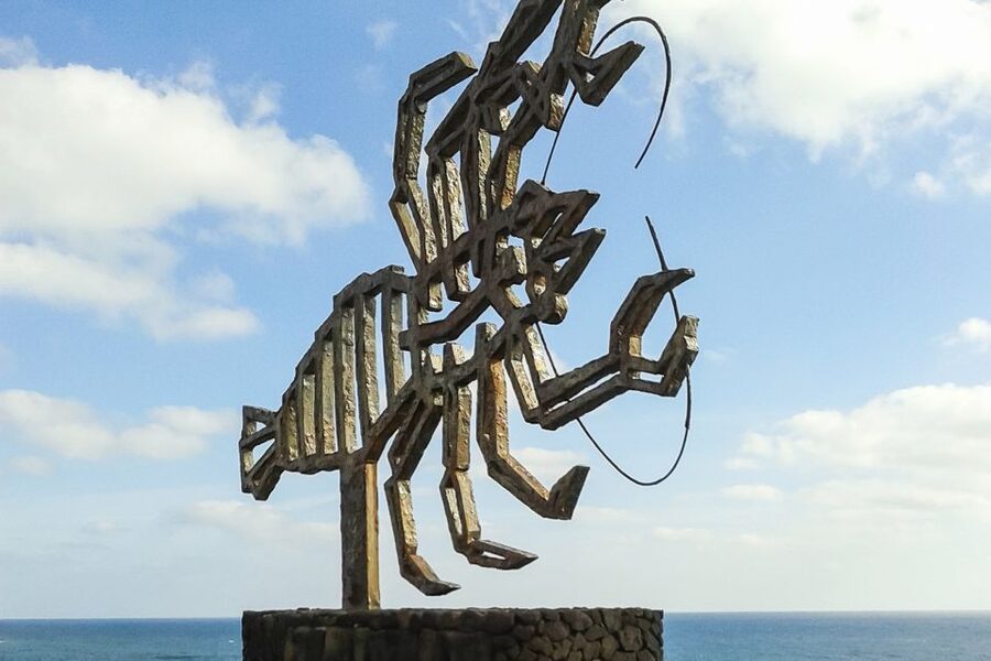 Lanzarote: Timanfaya Park and Jameos del Agua Full-Day Tour - Pickup, timing, and comfort