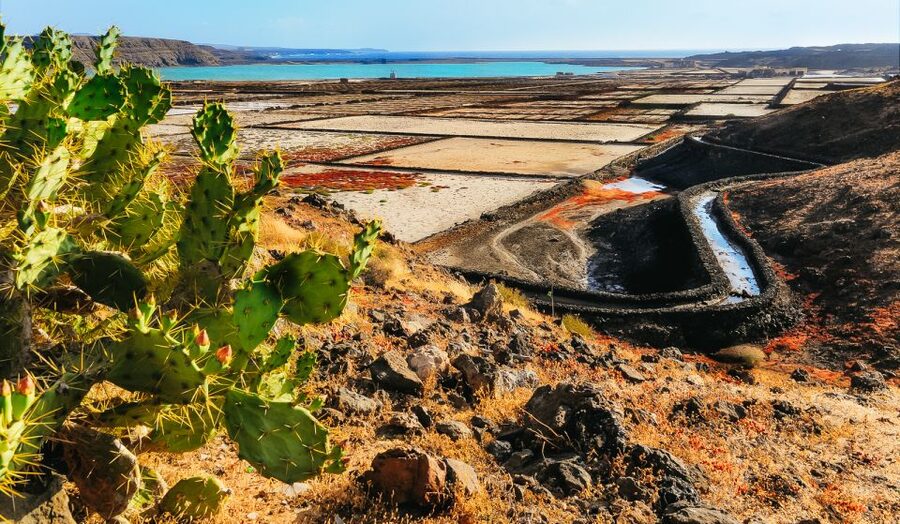 Lanzarote: Volcanos of Timanfaya and Caves Tour with Lunch - Why this nine-hour route works so well