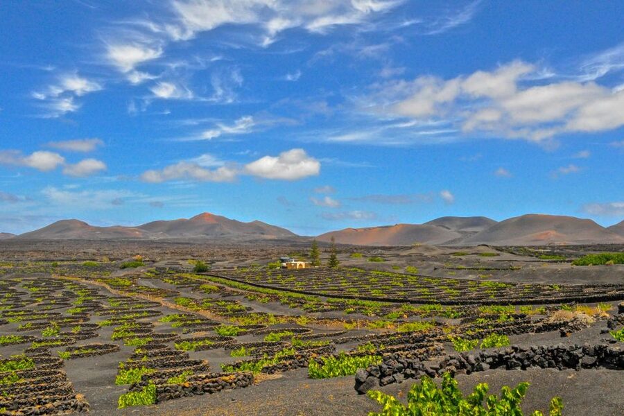 Lanzarote: Volcanos of Timanfaya and Caves Tour with Lunch - Timanfaya and the Volcanoes Route