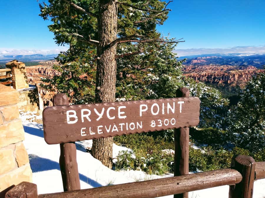 Las Vegas: Bryce and Zion National Parks Tour with Lunch - Is $159 a fair price?