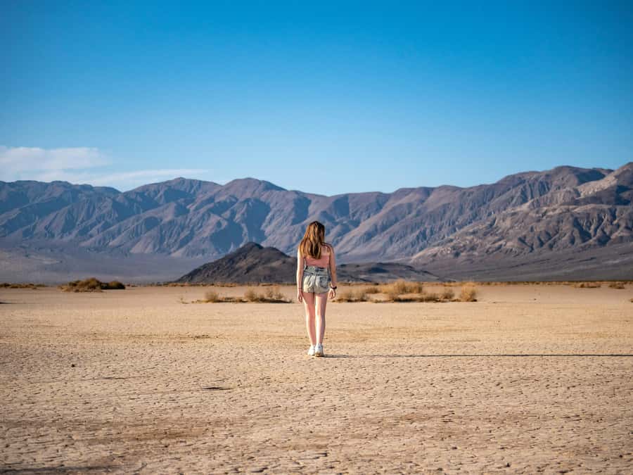 Las Vegas: Death Valley National Park Small Group Tour - Dante’s View gives you the big picture