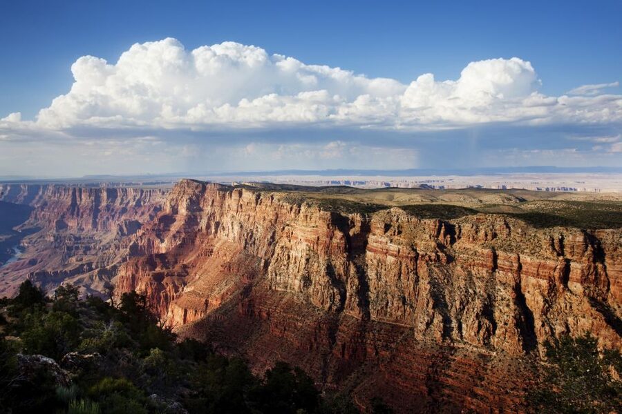 Las Vegas: Grand Canyon National Park Day Tour - The important South Rim and West Rim warning