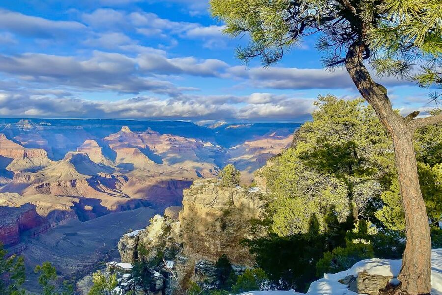 Las Vegas: Grand Canyon National Park South Rim Guided Tour - Food stops are useful, but keep expectations modest