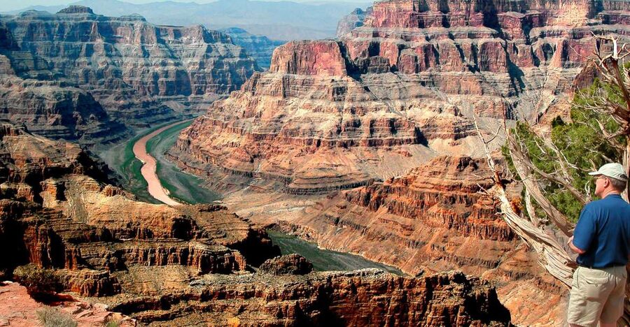 Las Vegas: Grand Canyon Tour & Helicopter Landing Experience - Joshua Trees and the High Desert drive