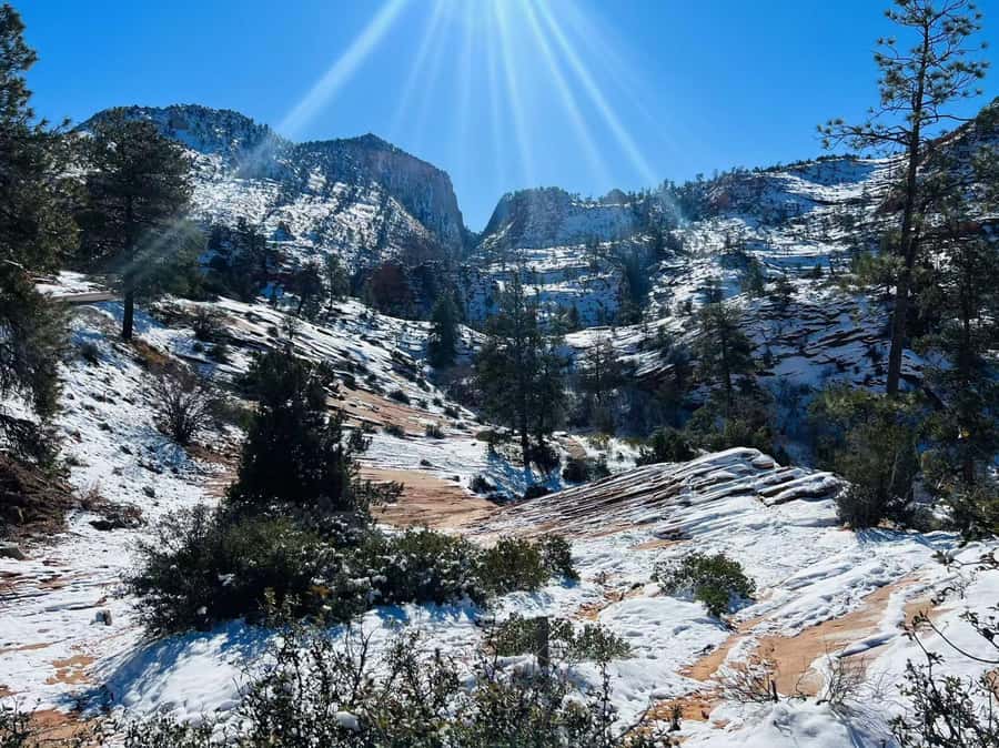Las Vegas: Zion National Park Group Tour with Lunch - Canyon Overlook: the best view for the effort