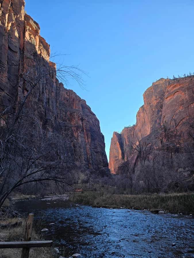 Las Vegas: Zion National Park Group Tour with Lunch - How the group size affects the day