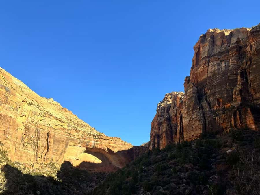 Las Vegas: Zion National Park Group Tour with Lunch - The $148 price and the extra national park fee