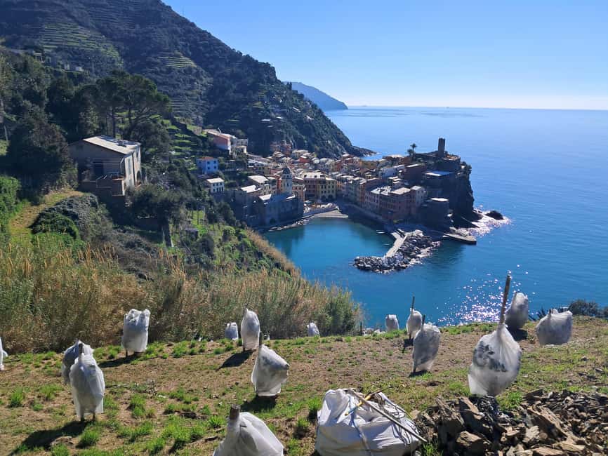 Lemon tour with Limoncino and Wine tasting in Vernazza (Cinque Terre) - Walking the old route toward Monterosso
