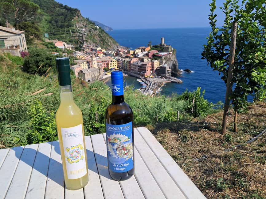Lemon tour with Limoncino and Wine tasting in Vernazza (Cinque Terre) - Is $53 a fair price?