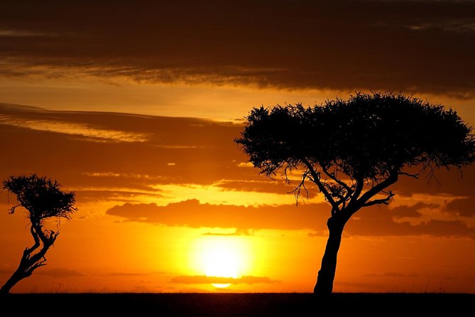 Leopard Safari Tour in Yala National Park - What the guide adds to the experience