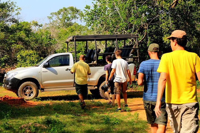 Leopard Safari Tour in Yala National Park - The real price of the safari