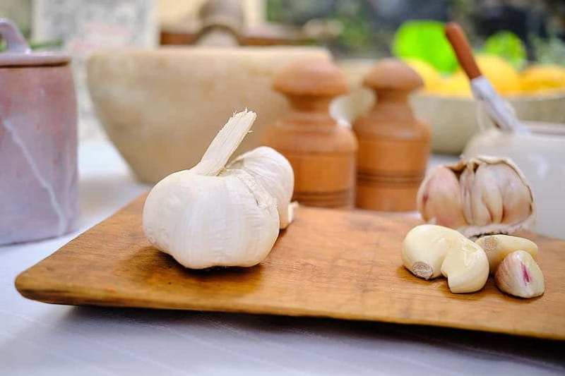 Levanto, Cinque terre: Fresh Pasta and Pesto cooking class - Is the experience good value?