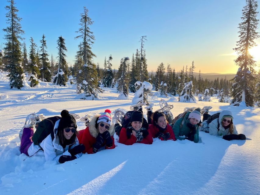 Levi: Pallas-Yllästunturi National Park Snowshoeing Tour - Why Pallas is a fine place for snowshoeing