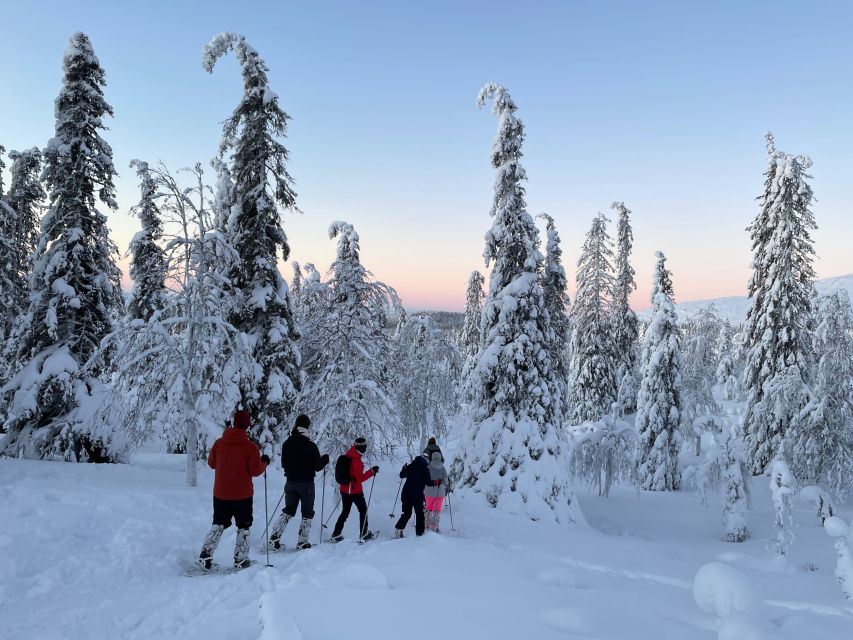 Levi: Pallas-Yllästunturi National Park Snowshoeing Tour - What the price really buys you