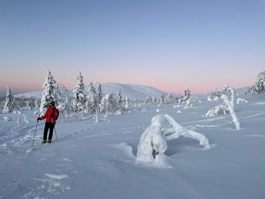 Levi: Pallas-Yllästunturi National Park Snowshoeing Tour - Who will enjoy this outing most