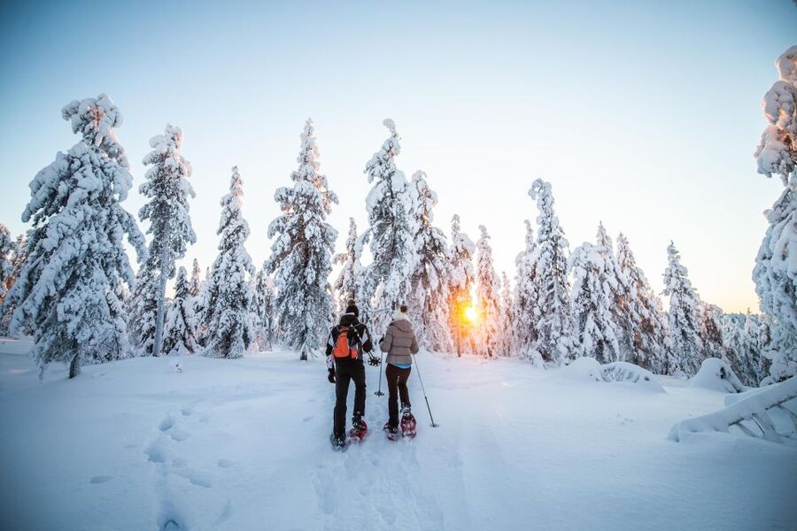 Levi: Snowshoe Adventure in the Wilderness - Should you book the Levi snowshoe adventure?