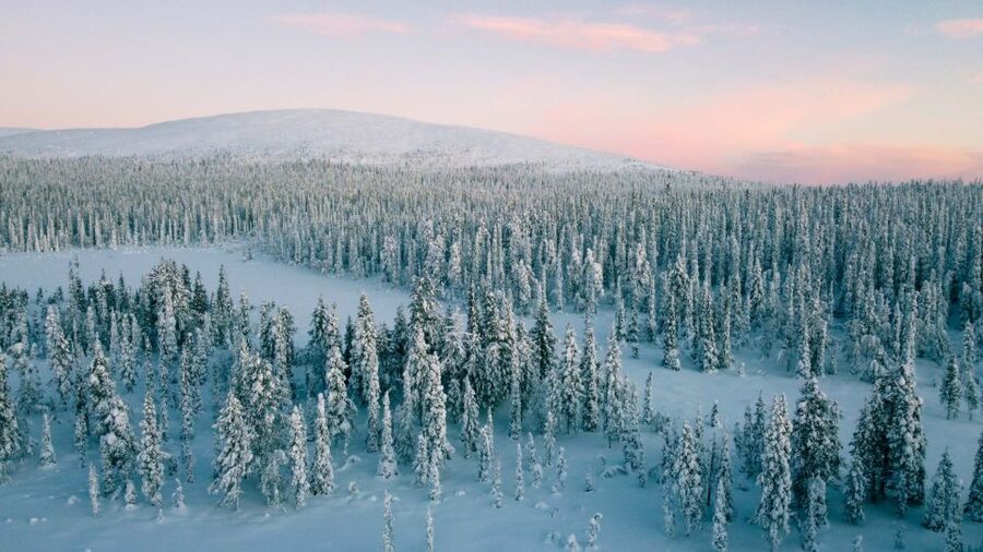 Levi: Snowshoe Adventure in the Wilderness - Pickup, equipment, and the small-group setup