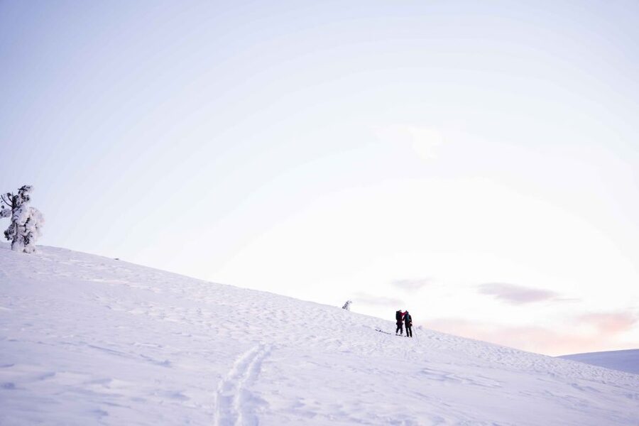 Levi: Snowshoe Adventure in the Wilderness - Is $105 a fair price for this Lapland activity?