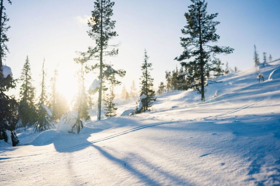Levi: Snowshoe Adventure in the Wilderness - Who will enjoy this most