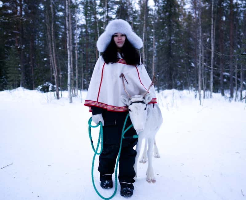 Levi: Winter Wilderness Husky & Reindeer Safari Combo Tour - Three Arctic rides from Levi in one compact trip