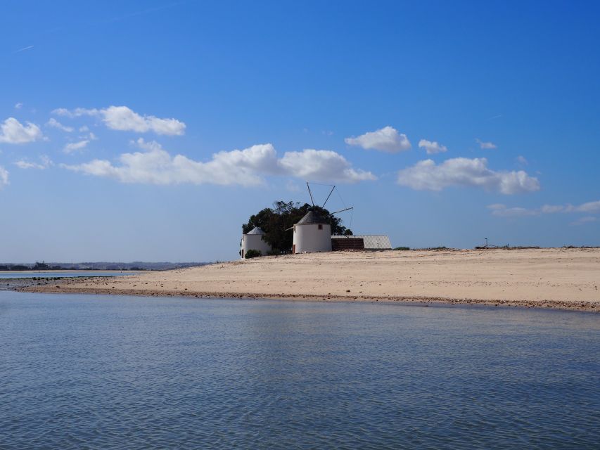 Lisbon: Tagus Estuary Nature Reserve Birdwatching Boat Tour - Key things to know before you book