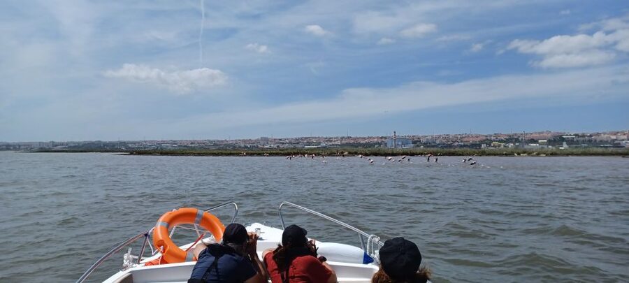 Lisbon: Tagus Estuary Nature Reserve Birdwatching Boat Tour - Leaving Parque das Nações by boat
