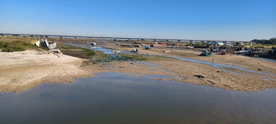Lisbon: Tagus Estuary Nature Reserve Birdwatching Boat Tour - Spending two and a half hours in the nature reserve