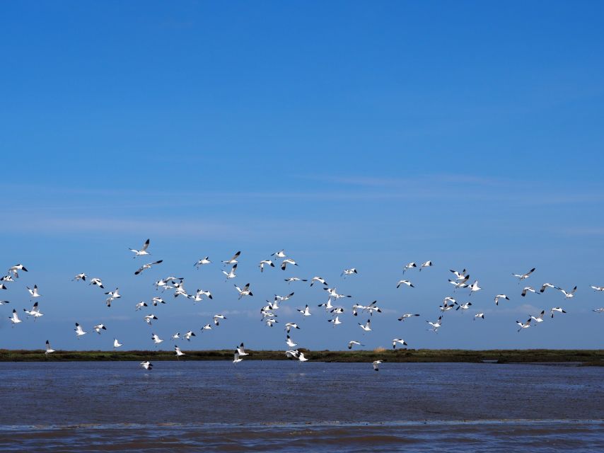 Lisbon: Tagus Estuary Nature Reserve Birdwatching Boat Tour - Passing beneath the Vasco da Gama Bridge