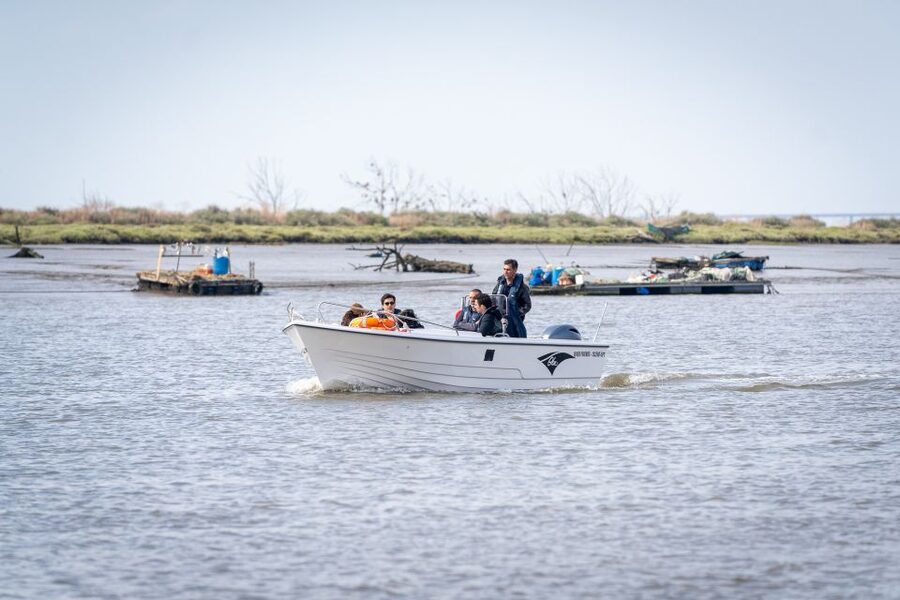 Lisbon: Tagus Estuary Nature Reserve Birdwatching Boat Tour - Best months, weather, and realistic expectations