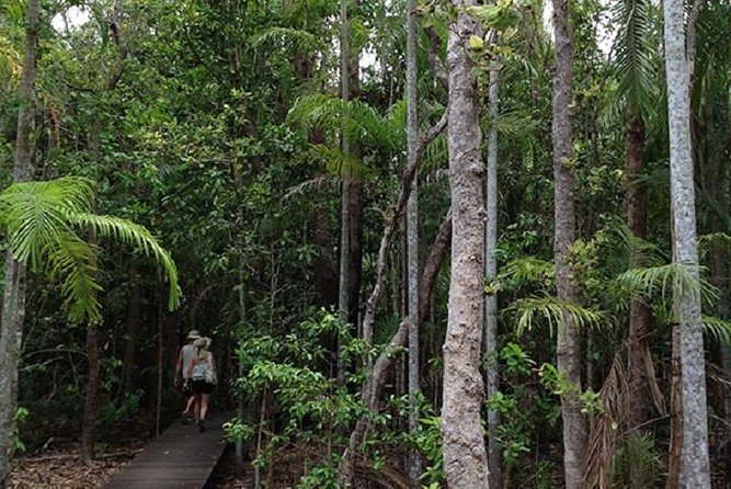Litchfield National Park and Jumping Crocodile Cruise - Key points to know before booking