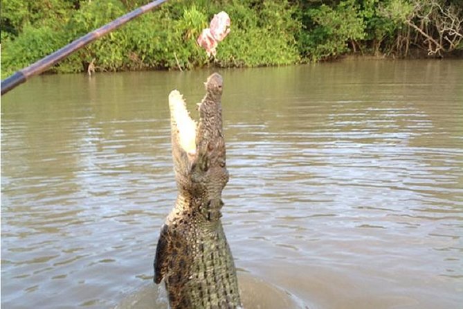 Litchfield National Park and Jumping Crocodile Cruise - What the long day feels like in practice