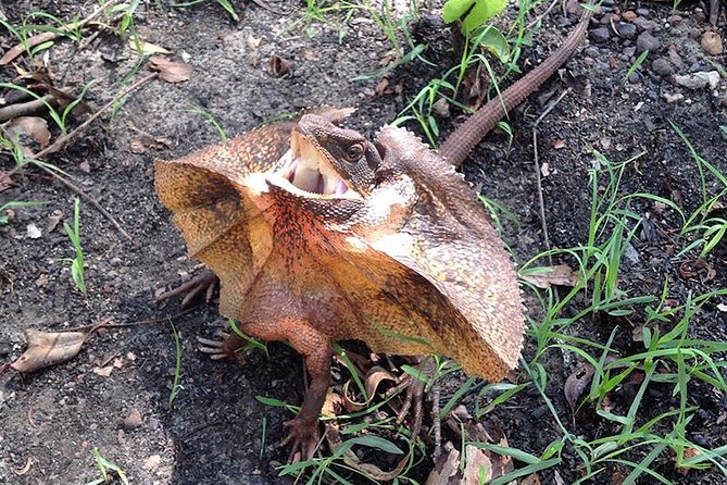 Litchfield National Park and Jumping Crocodile Cruise - The guides add much of the day’s personality