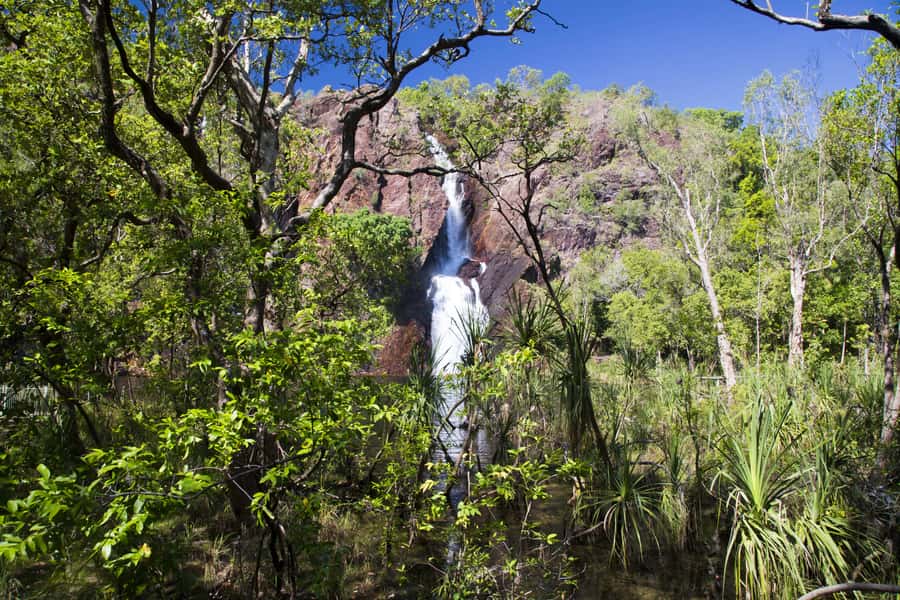 Litchfield National Park: Full-Day & Lunch from Darwin - Tolmer Falls and the sandstone country