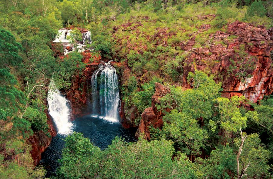 Litchfield National Park: Full-Day & Lunch from Darwin - Wangi Falls and the best chance for a cool dip