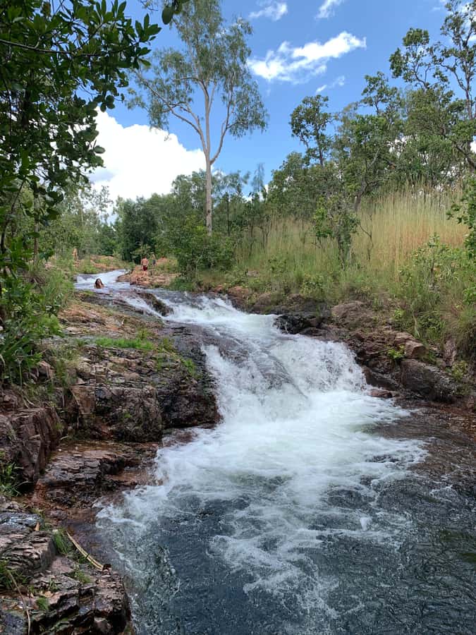 Litchfield VIP Tours, Litchfield National Park, Day Tours, - Lower Cascades and Buley Rockholes keep the water coming