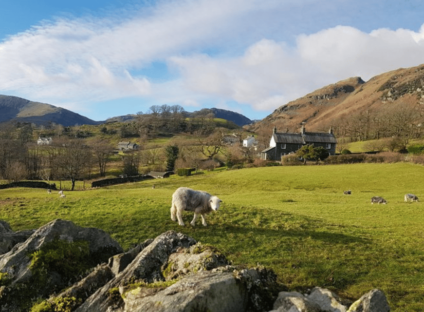 Liverpool: Lake District Tour with Lake Cruise - Why this Liverpool day trip works