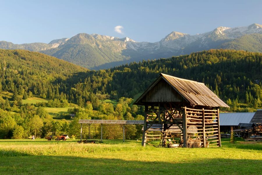 Ljubljana: Lake Bled & Triglav National Park Full-Day Trip - Who should book this experience?