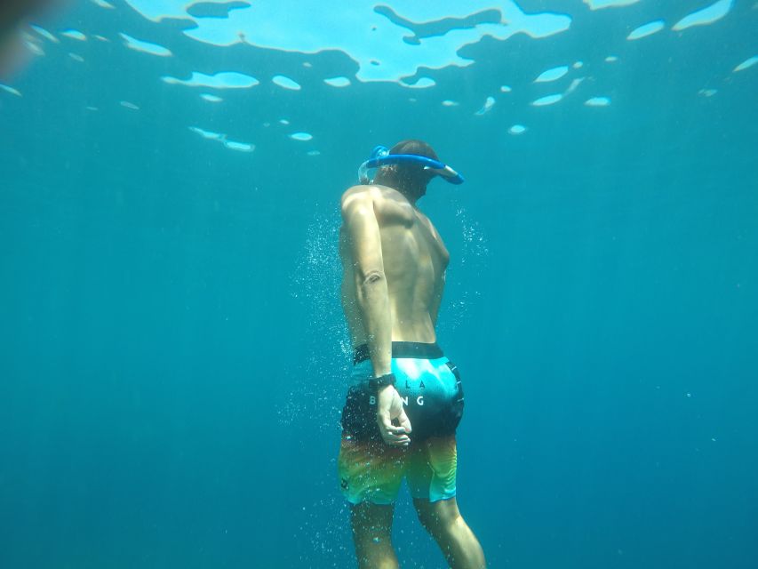Madeira: Garajau Nature Reserve Kayak and Snorkel Tour - Key points to know before booking