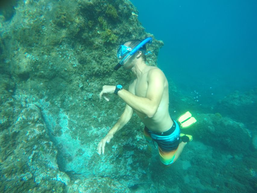 Madeira: Garajau Nature Reserve Kayak and Snorkel Tour - Clear water, fish, crabs, and a possible cliff jump