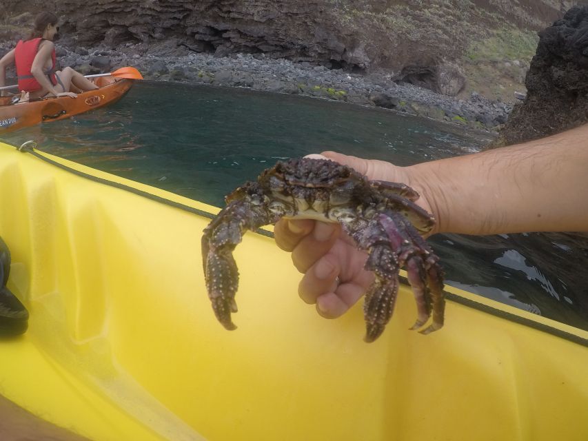 Madeira: Garajau Nature Reserve Kayak and Snorkel Tour - Equipment, clothing, and useful packing advice