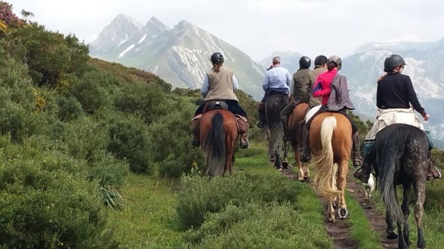 Madrid: Horse Riding in Sierra del Guadarrama National Park - Leaving Madrid for the Sierra de Guadarrama