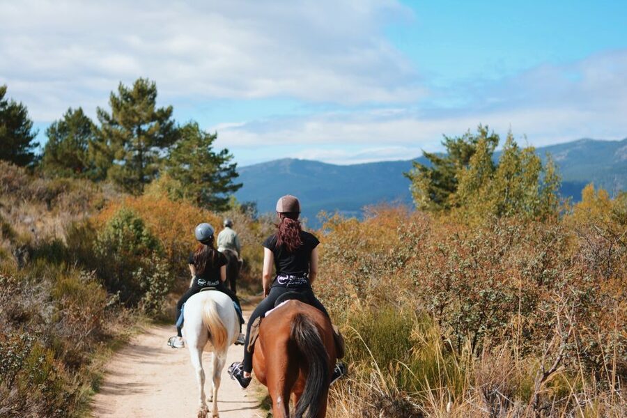 Madrid: Horse Riding in Sierra del Guadarrama National Park - The two-hour ride near Navacerrada