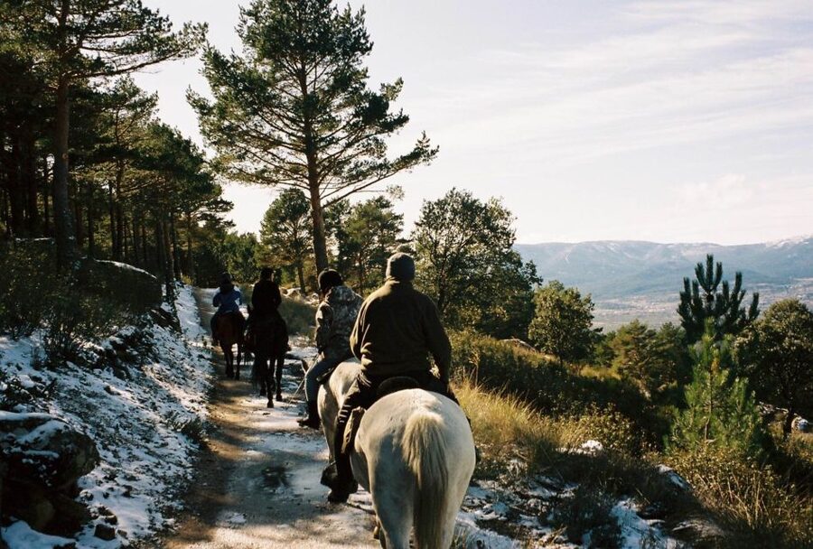 Madrid: Horse Riding in Sierra del Guadarrama National Park - What makes the small group useful