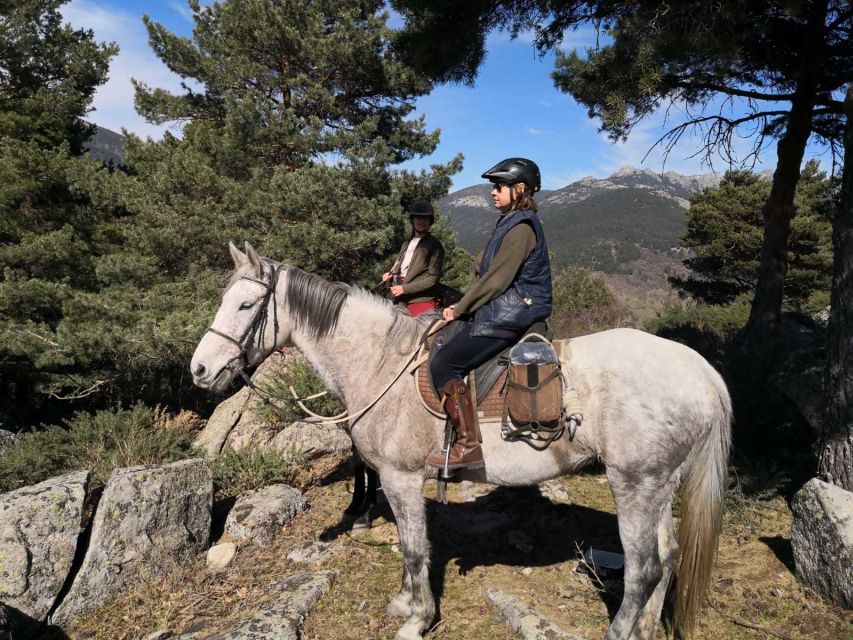 Madrid: Horse Riding in Sierra del Guadarrama National Park - Safety, comfort, and the limits of the experience