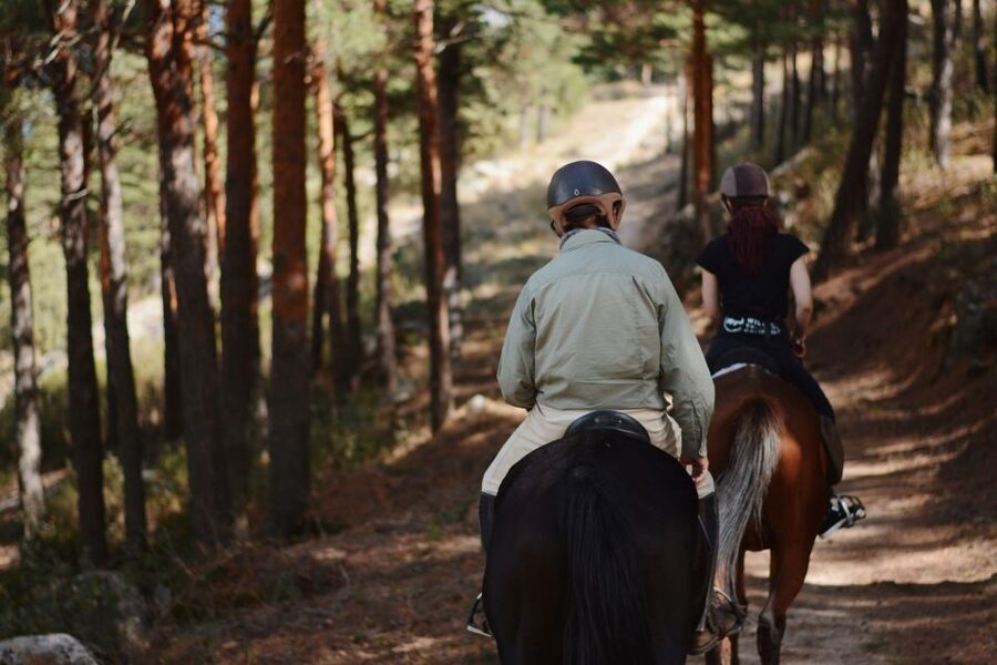 Madrid: Horse Riding in Sierra del Guadarrama National Park - Meeting the horses and learning the basics