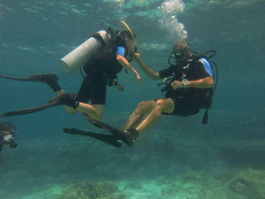 Mallorca: Discover Scuba Diving for Beginners - The guided underwater session at 6 meters