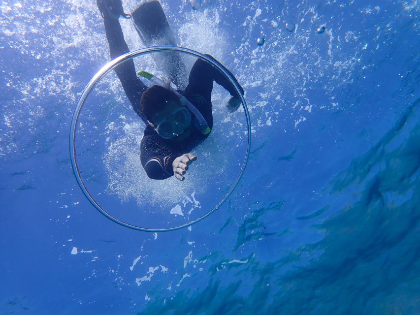 Mallorca: Snorkeling in a Beautiful Nature Reserve - Should you book it?