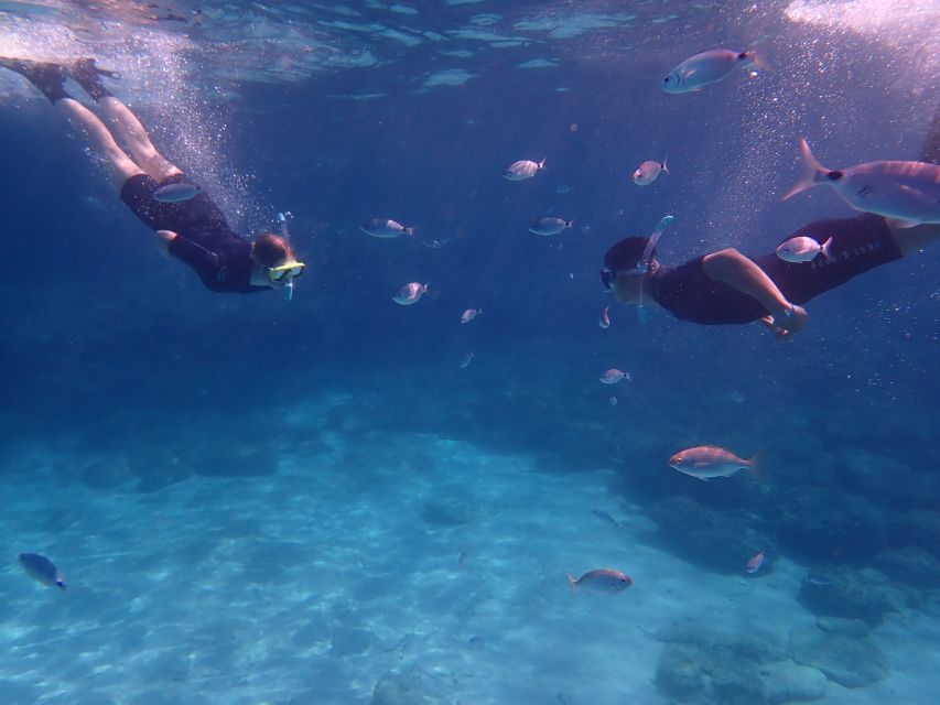 Mallorca: Snorkeling in a Beautiful Nature Reserve - Family suitability and age rules