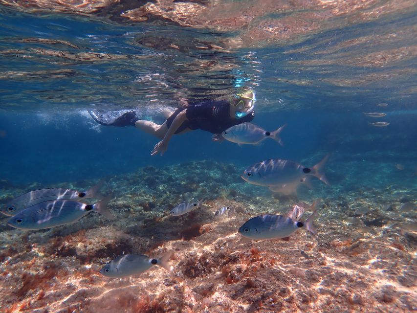 Mallorca: Snorkeling in a Beautiful Nature Reserve - Meeting points that can make or break the morning