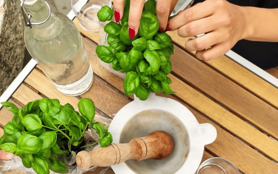 Manarola: Authentic Pesto Making Class at Cinque Terre - Finding Laboratorio A Pié de Campu
